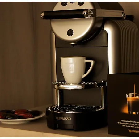 호텔 Platzhirsch - Downtown Boutique & Sushi Lounge 취리히