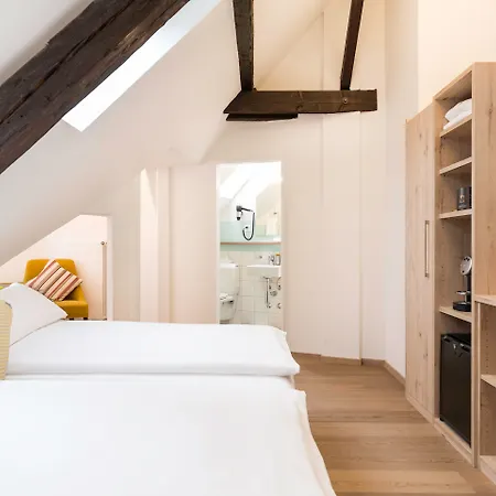 Hotel Platzhirsch - Downtown Boutique Hotel&sushi Lounge Zúrich