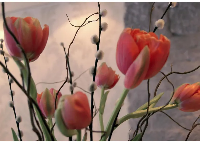 Platzhirsch - Downtown Boutique & Sushi Lounge