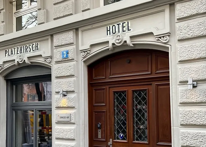 Platzhirsch - Downtown Boutique & Sushi Lounge 3* Цюрих