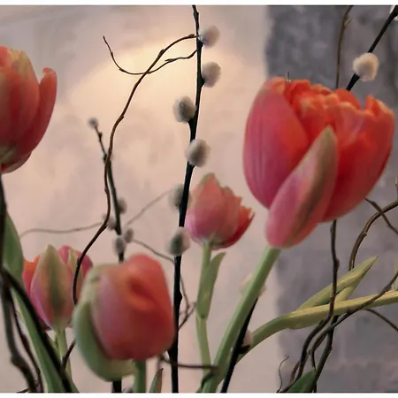 Platzhirsch - Downtown Boutique & Sushi Lounge